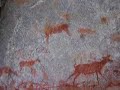 Bushmen´s paitings Bushmen´s paitings