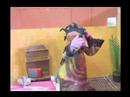ies jaume callis 2003 04