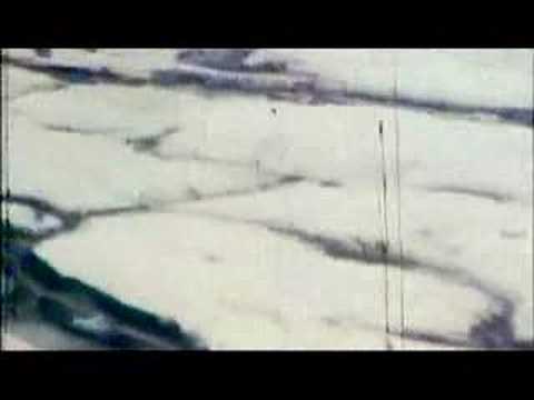NIOBE White Hats video