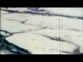 NIOBE White Hats video