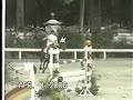 Deminho saltando