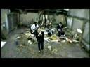 stonefree - anghel