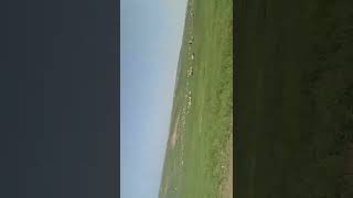 ام خشرم ام خشرم