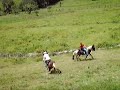 Vaqueiros