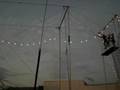 Katrina's Trapeze Show