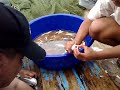 Kelab Joran Hospital Kinabatangan Kelab Joran Hospital Kinabatangan