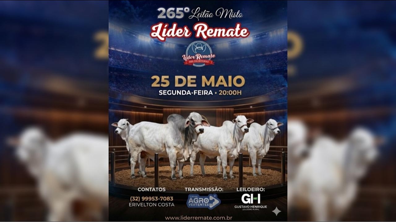 265º LEILÃO MISTO LÍDER REMATE - SÃO JOÃO DEL REI/MG - 25/05/2026