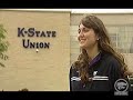 K-State Volleyball Fans