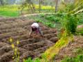 Mondialogo MEA Gold Winner 2009 - Japan:Nepal
