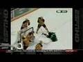 Amazing-Hockey-Goal
