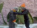 Ghost Rider VS Venom and Old Ghost Rider Ghost Rider VS Venom and Old Ghost Rider
