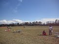 Eurofighter model jet flypast