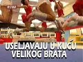 TEA DANCE TEAM plesni studio....VELIKI BRAT reklama za prvu sezonu TEA DANCE TEAM plesni studio....VELIKI BRAT reklama za prvu sezonu
