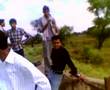Pond Near College MIT Ujjain