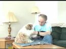 Vlog 13 -- Rambling  Groomer  Past 2