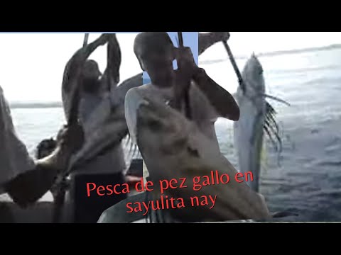 Imagen de previsualización de YouTube