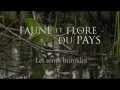 Les terres humides (30 secondes)