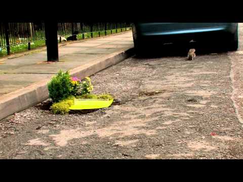 0 Découvrez le mini guerilla gardening !