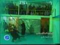 Ninja and Ninjutsu in Iran