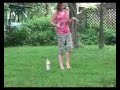 Diet Cole  Mentos