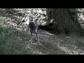 APDEP -- \"Sniff\"