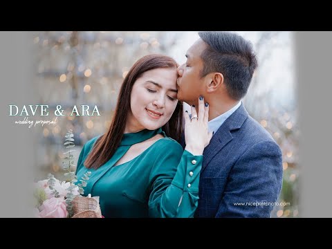Ara Mina & Dave Almarinez Proposal Video