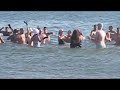 Polar Bears at Coney Island.mov