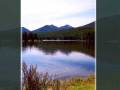 the slacker that got away