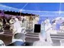 Psycadelic Blues Video