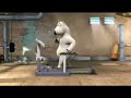 OSO BERNARDO (Bear bernard)