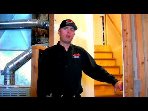 how to eliminate termites naturally