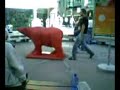 Teddy and Feldi in Love ( St.Galler B�r )