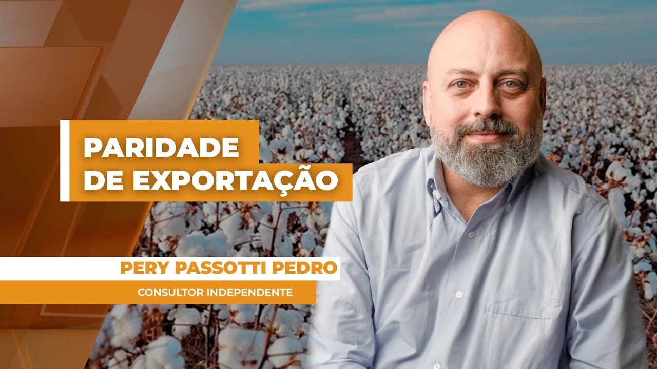 Câmbio no Brasil diminui paridade de exportação do algodão...
