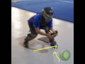 Catcher Making a Tag 2