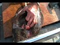 filleting fluke