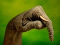 Hand Jobs, the Arts