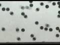 Chemistry with Haui. Particles  and states of matter.