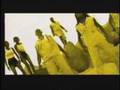 Dancing Punta - Music Video - Nuru