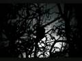 Deine Lakaien - Where You Are
