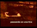?jackass chileno?