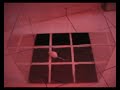 Open Field - Swiss mouse