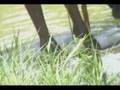 videos de Indio Toba (Documental, 2007)
