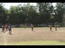 halcones goles seniors