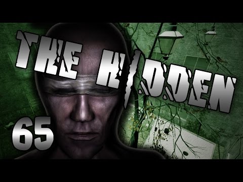 Flying Through The Sky! (The Hidden #65)