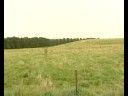 Oosterhout vreest negatieve effecten Bavelse Berg Oosterhout vreest negatieve effecten Bavelse Berg