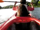 Kayaking in Charles River
