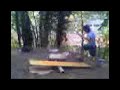 the catapult the catapult