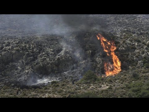 Griechenland: Mehr als 50 Waldbrnde in mehreren Landesteilen