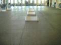 videos de A Boxloader's view of Flyball practice