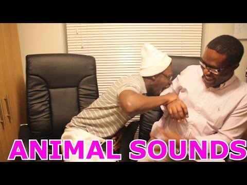ANIMAL SOUNDS